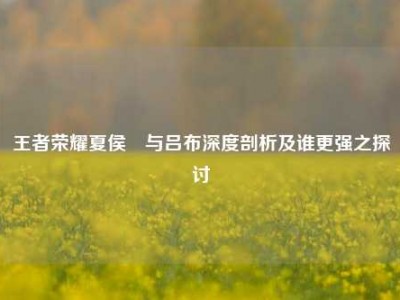 王者荣耀夏侯惇与吕布深度剖析及谁更强之探讨