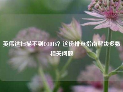 英伟达扫描不到COD16？这份排查指南解决多数相关问题