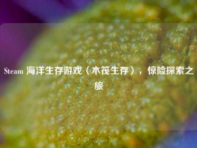 Steam 海洋生存游戏〈木筏生存〉，惊险探索之旅