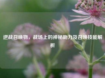 逆战召唤物，战场上的神秘助力及召唤技能解析