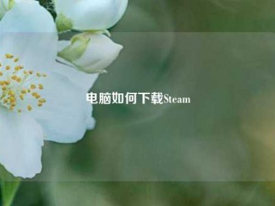 电脑如何下载Steam