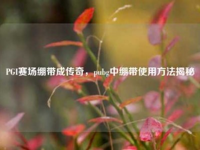 PGI赛场绷带成传奇，pubg中绷带使用方法揭秘