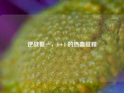 逆战狼一，1+1 的热血征程