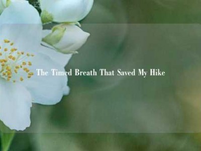 The Timed Breath That Saved My Hike