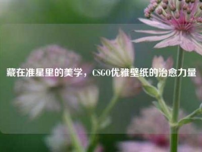 藏在准星里的美学，CSGO优雅壁纸的治愈力量