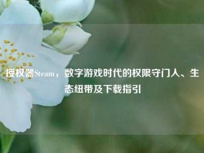 授权器Steam，数字游戏时代的权限守门人、生态纽带及下载指引