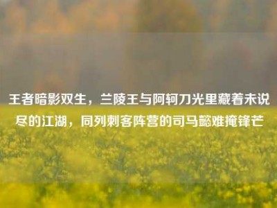 王者暗影双生，兰陵王与阿轲刀光里藏着未说尽的江湖，同列刺客阵营的司马懿难掩锋芒