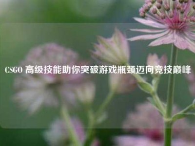 CSGO 高级技能助你突破游戏瓶颈迈向竞技巅峰