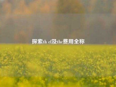 探索th cf及thc费用全称