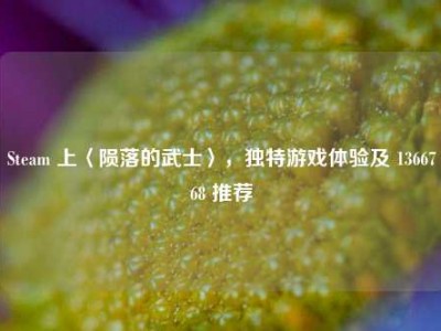 Steam 上〈陨落的武士〉，独特游戏体验及 1366768 推荐