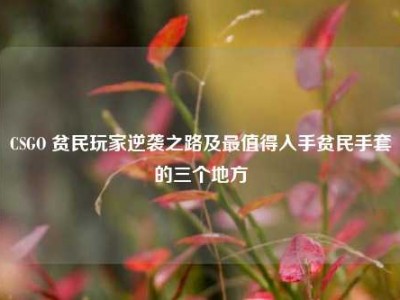CSGO 贫民玩家逆袭之路及最值得入手贫民手套的三个地方