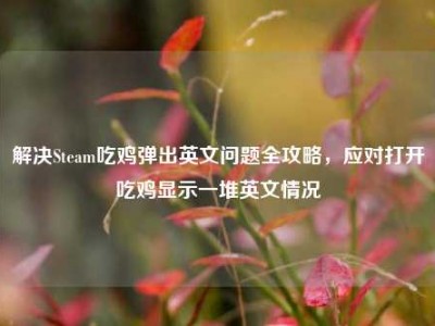 解决Steam吃鸡弹出英文问题全攻略，应对打开吃鸡显示一堆英文情况