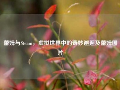 蕾姆与Steam，虚拟世界中的奇妙邂逅及蕾姆图片