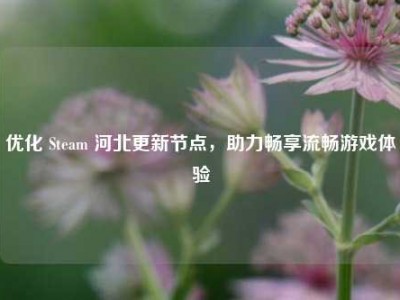 优化 Steam 河北更新节点，助力畅享流畅游戏体验