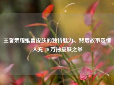 王者荣耀难言皮肤的独特魅力、背后故事及惊人充 20 万抽皮肤之举
