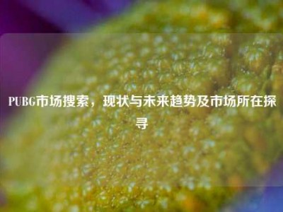 PUBG市场搜索，现状与未来趋势及市场所在探寻