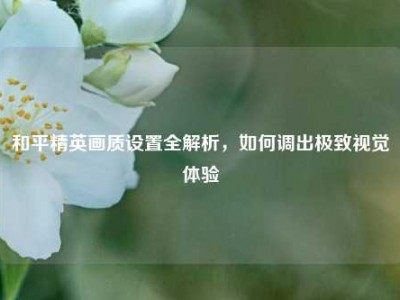 和平精英画质设置全解析，如何调出极致视觉体验