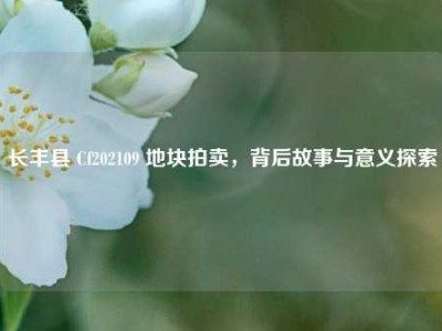 长丰县 Cf202109 地块拍卖，背后故事与意义探索