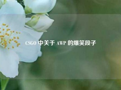 CSGO 中关于 AWP 的爆笑段子