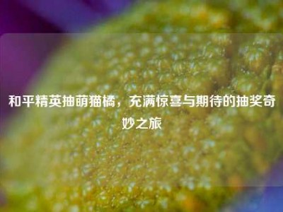 和平精英抽萌猫橘，充满惊喜与期待的抽奖奇妙之旅