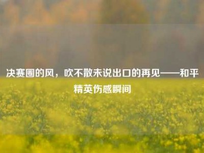 决赛圈的风，吹不散未说出口的再见——和平精英伤感瞬间