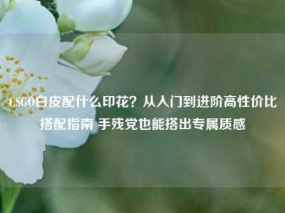 CSGO白皮配什么印花？从入门到进阶高性价比搭配指南 手残党也能搭出专属质感