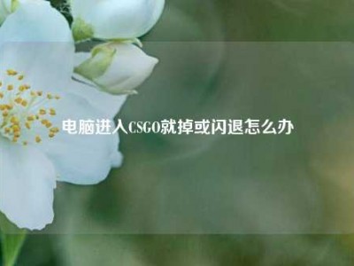 电脑进入CSGO就掉或闪退怎么办