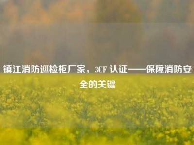 镇江消防巡检柜厂家，3CF 认证——保障消防安全的关键