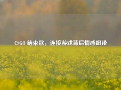 CSGO 结束歌，连接游戏背后情感纽带
