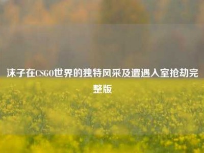 沫子在CSGO世界的独特风采及遭遇入室抢劫完整版