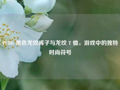 PUBG 黑色龙纹裤子与龙纹 T 恤，游戏中的独特时尚符号