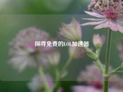 探寻免费的LOL加速器