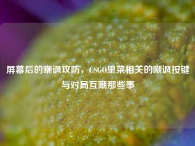 屏幕后的嘲讽攻防，CSGO里菜相关的嘲讽按键与对局互嘲那些事
