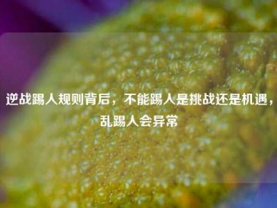逆战踢人规则背后，不能踢人是挑战还是机遇，乱踢人会异常