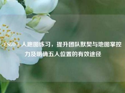 CSGO 5 人跑图练习，提升团队默契与地图掌控力及明确五人位置的有效途径