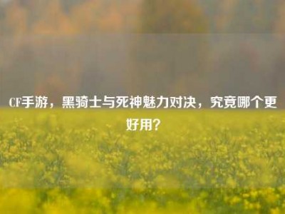 CF手游，黑骑士与死神魅力对决，究竟哪个更好用？
