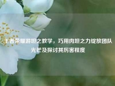 王者荣耀游坦之教学，巧用肉坦之力绽放团队光芒及探讨其厉害程度