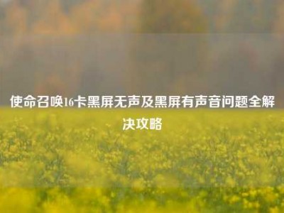 使命召唤16卡黑屏无声及黑屏有声音问题全解决攻略