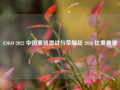 CSGO 2022 中国赛场激战与荣耀及 2026 比赛展望