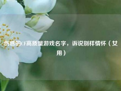 伤感的CF高质量游戏名字，诉说别样情怀（女用）
