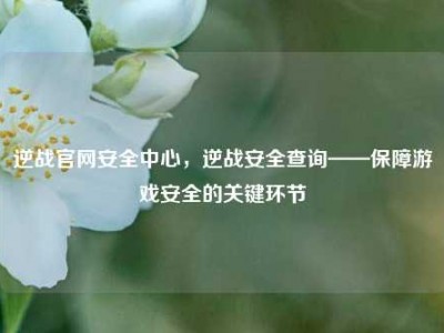 逆战官网安全中心，逆战安全查询——保障游戏安全的关键环节