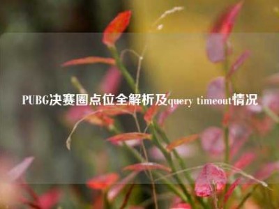PUBG决赛圈点位全解析及query timeout情况