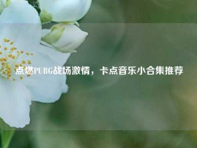 点燃PUBG战场激情，卡点音乐小合集推荐