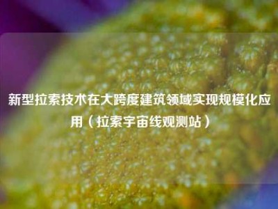 新型拉索技术在大跨度建筑领域实现规模化应用（拉索宇宙线观测站）