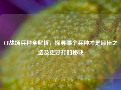 CF战场兵种全解析，探寻哪个兵种才是最佳之选及更好打的秘诀