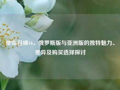 使命召唤16，俄罗斯版与亚洲版的独特魅力、差异及购买选择探讨