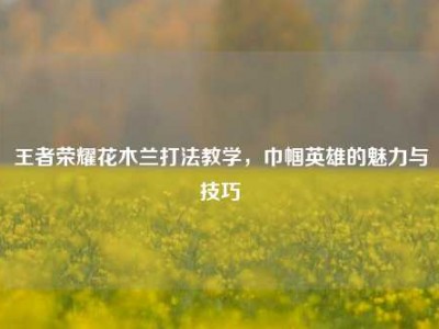 王者荣耀花木兰打法教学，巾帼英雄的魅力与技巧
