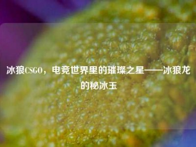 冰狼CSGO，电竞世界里的璀璨之星——冰狼龙的秘冰玉