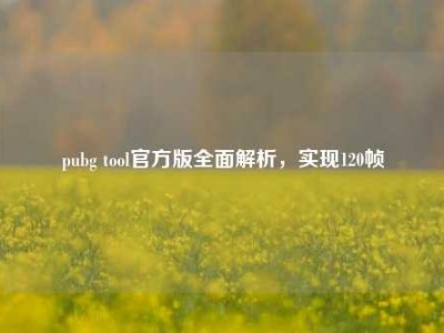 pubg tool官方版全面解析，实现120帧