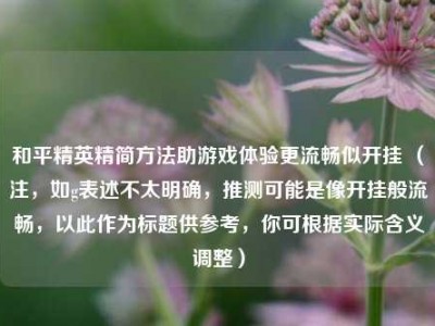 和平精英精简方法助游戏体验更流畅似开挂 （注，如g表述不太明确，推测可能是像开挂般流畅，以此作为标题供参考，你可根据实际含义调整）